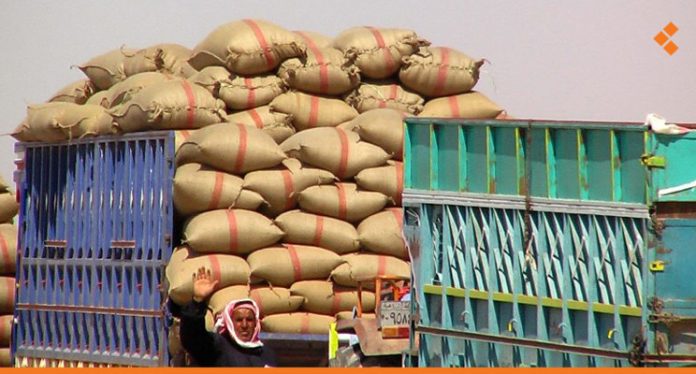 الاحتلال التركي ومرتزقته يسرقون كميات من مخزون القمح من صوامع الشركراك بريف الرقة